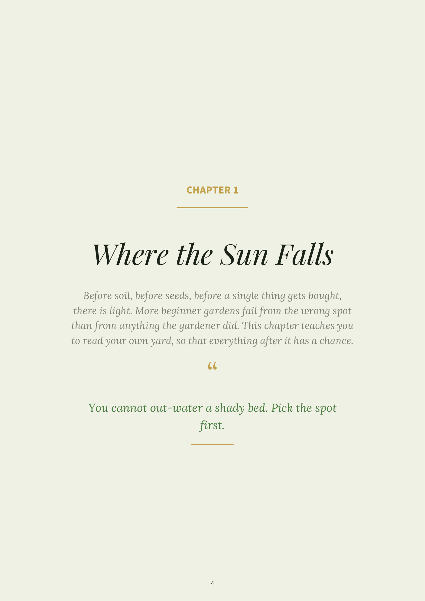 The free chapter, open on a table
